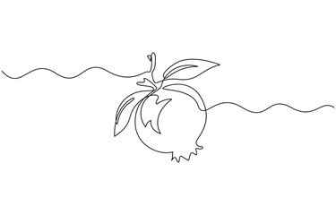 Continuous linear drawing of pomegranate, Outline draw design vector illustration editable outline.