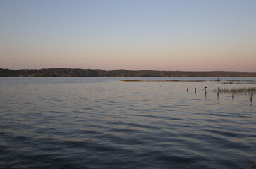 sunrise over the river