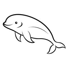 dolphin isolated on white background