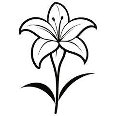 black and white lily