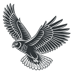 eagle vector illustration