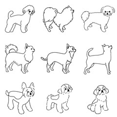 Toy and Small Dog Breeds Vector Set – 9 Cute Pet Illustrations