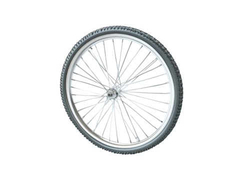 Close-up view of a bicycle wheel.