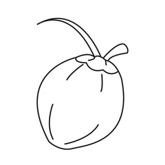 Coconut Fruit flat icon with white background