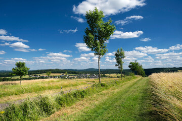 Deutsche Landschaft - Die Eifel bei Mannebach - Stockfoto