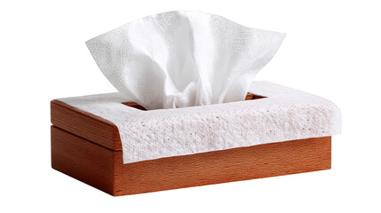 Exquisite wooden tissue box, elevating everyday essentials with style and functionality