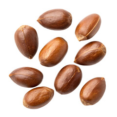 lychee seeds, isolated PNG transparent background