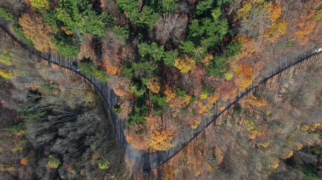 Overhead aerial view of car on winding mountain road in sunny colorful autumn forest.
