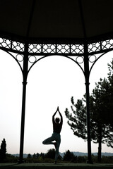 Yoga tree pose silhouette under pavilion &ndash; mindfulness and balance outdoors