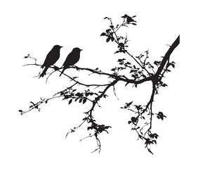 Silhouette of birds sitting on a tree branch.