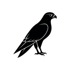 Fototapeta premium A falcon Bird's silhouette art vector illustration.