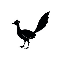 A lyrebird Bird's silhouette art vector illustration.