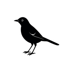 Obraz premium A pipit Bird's silhouette art vector illustration.