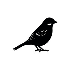 Obraz premium A sparrow Bird's silhouette art vector illustration.