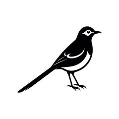 Obraz premium A wagtail Bird's silhouette art vector illustration.