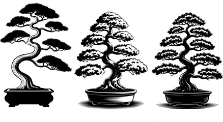 Black and white vector illustration of a miniature bonsai with swirling trunk, shaped foliage, and tribal-style roots in a Zen tattoo aesthetic on a white background