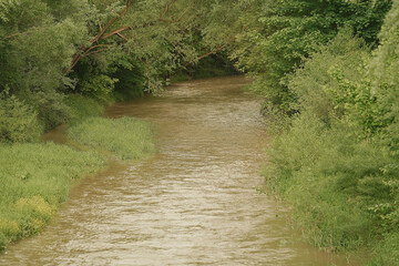a muddy river flowing through a wooded area, surrounded by lush green vegetation and trees. The water appears to be dirty and brown due to sediment and the natural enviro