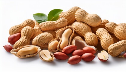 panorama of peanuts on white background banner isolated
