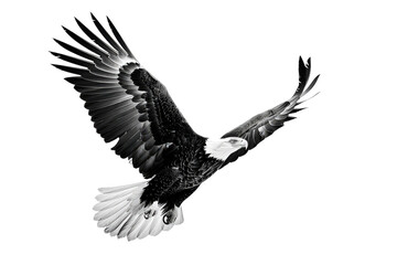 Obraz premium Strong eagle mid flight isolated on white clean background