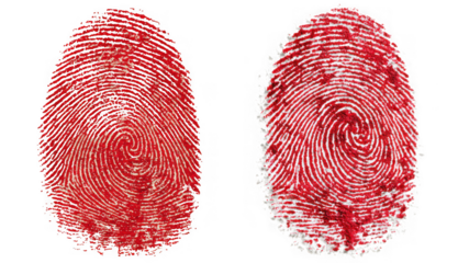 Two textured red fingerprints isolated on a transparent background representing identity