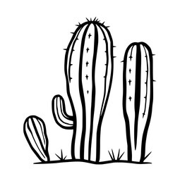 Desert Cacti Trio: A bold, monochrome line art illustration depicts three cacti of varying sizes, showcasing their distinct ribbed structures and prickly details against a stark white background.