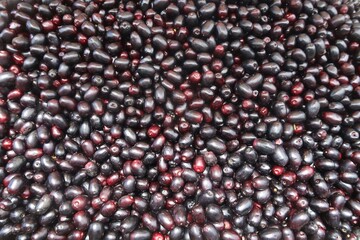 Jamun fruit, Java plum ,black plum, Malabar plum, Njaval pazham,  jamun, jaman, jambul or jambolan, It is a dark purple fruit, rich in vitamins, minerals, and antioxidants