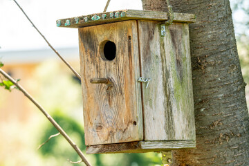 Close up of nesting box  attached to a tree trunk with little entrance hole. Metal latch and fastener to open it for cleaning. Horizontal shot.