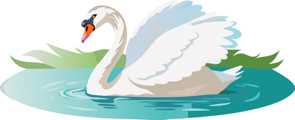 swan on the water animal lake white nature duck © Rizky