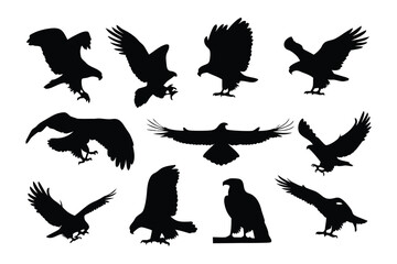 Collection of diverse black silhouette eagle poses showcasing majestic flight and perched stances
