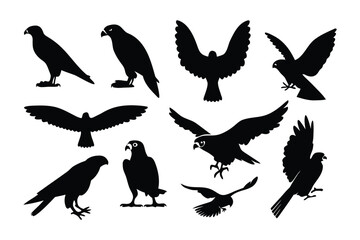 Collection of silhouetted birds of prey in various dynamic poses showcasing their majestic wings and fierce nature