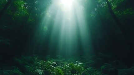 Sunlight piercing a dark, lush forest
