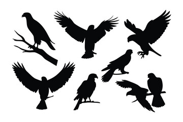 Fototapeta premium Collection of majestic bird of prey silhouettes showcasing various poses and wing positions against a white background