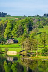 Obraz premium Farms over Esthwaite Water, Lake District National Park, Cumbria, England