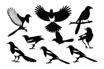 Collection of black and white silhouettes of magpies in various poses and flight actions