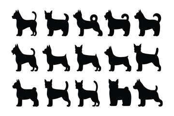 Collection of silhouetted big cats in various dynamic poses showcasing graceful movement and powerful stance