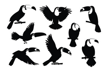 Collection of silhouetted toucans in various dynamic poses showcasing their distinctive beaks and wings
