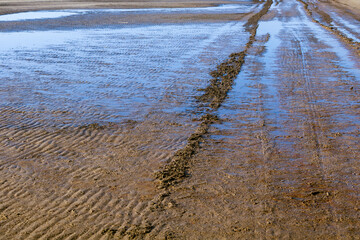 Traces of car tires on sand on coast of sea
