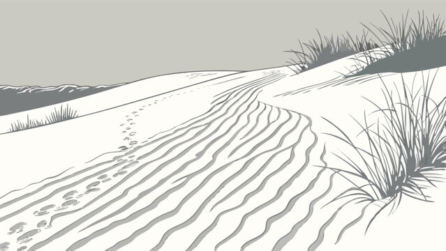 Illustration of a sandy dune landscape with grass and footprints under a gray sky at daytime