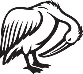 Grooming pelican black silhouette on white background, Pelican side pose vector illustration