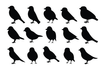 Collection of silhouetted birds of prey perched on branches against a white background