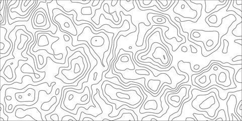 Abstract black and white topographic contours map background Vector. Geographic mountain relief. Topography map pattern, Geographic curved, vector illustration. Modern design with White background