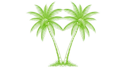 Obraz premium Green sketch of two coconut palm trees on white isolated on transparent background