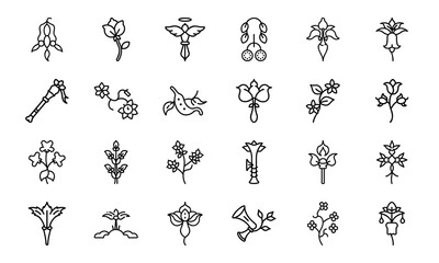Bundle of Botanical and Feminine Line Art Icons — Uterus, Flowers, Herbal Elements in Minimal Vector Style for Feminist, Medical & Nature Themes
