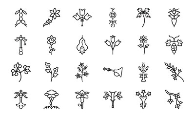 Bundle of Botanical and Feminine Line Art Icons — Uterus, Flowers, Herbal Elements in Minimal Vector Style for Feminist, Medical & Nature Themes