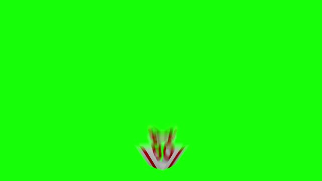 Animated Open Gift Box with 80th Number  On Green Screen