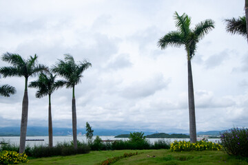 Construction site near the sea in Ha Long, Vietnam with cranes, buildings, and distant boats.