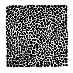 Black and white drawing of a square filled with many small organic shapes in a random pattern design