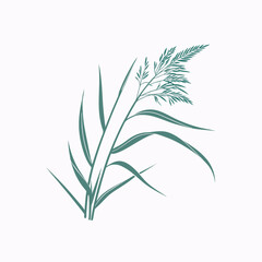 Reed icon vector, Adobe Illustrator Artwork