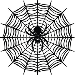 Obraz premium Black spider on intricate web arachnid creepy