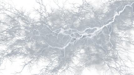 Abstract fractal branches with glowing white energy tendrils against a clean transparent background